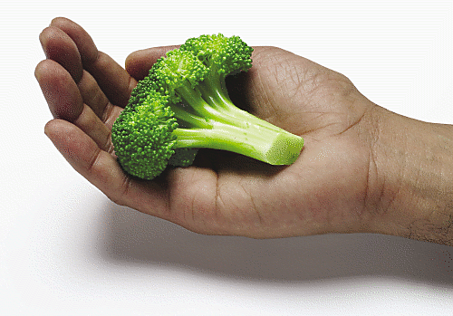 Broccoli-Super-Food.png